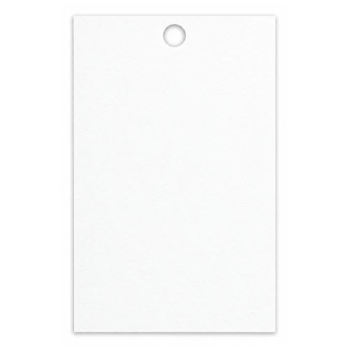 Bilecik przywieszki na prezent 5x9 cm białe 25 sztuk.png
