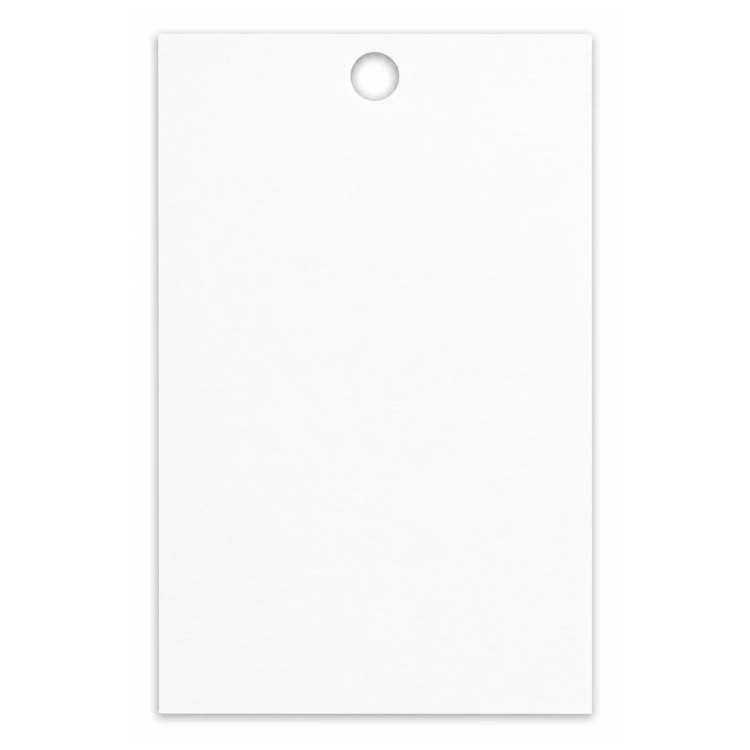 Bilecik przywieszki na prezent 5x9 cm białe 25 sztuk.png