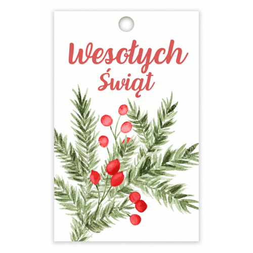 Bileciki zawieszki do prezentów "Wesołych Świąt" 5x9 cm 25 sztuk