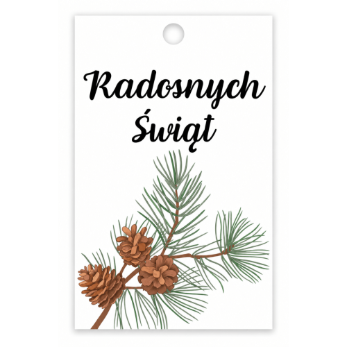 Bileciki zawieszki do prezentów "Radosnych Świąt" x9 cm 25 sztuk